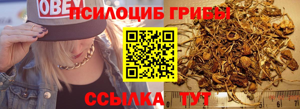 наркота  Галлюциногенные грибы Magic Shrooms  Вход с VPN  Трёхгорный  Псилоцибиновые грибы мицелий 